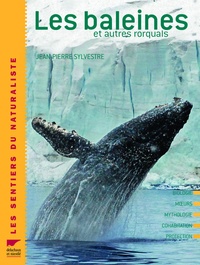 Jean Sylvestre - La baleine - Et autres rorquals.