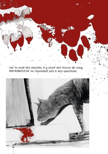 La véridique histoire de Mayranouche poupée de son et de tissu racontée par le chat Azad