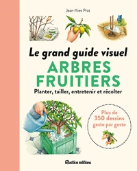 Le grand guide visuel des arbres fruitiers