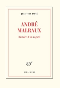 Jean-Yves Tadié - André Malraux - Histoire d'un regard.