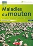 Jeanne Brugère-Picoux - Maladies du mouton.