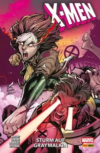 X-MEN 2 - STURM AUF GRAYMALKIN