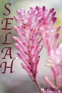 Selah