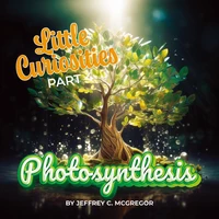 Little Curiosities(Part 4): Photosynthesis