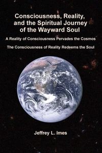 Consciousness, Reality, and the Spiritual Journey of the Wayward Soul
