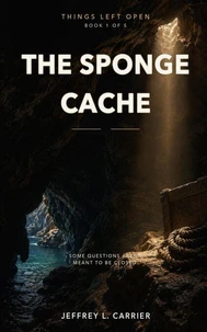 The Sponge Cache