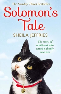 Solomon’s Tale