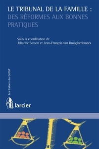 Jehanne Sosson et Jean-François Van Drooghenbroeck - Le tribunal de la famille - Des réformes aux bonnes pratiques.