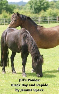 Jill's Ponies: Black Boy and Rapide