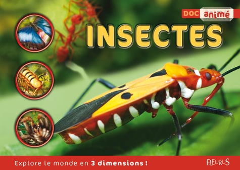 Jen Green - Insectes.