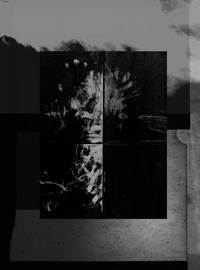 One Millimeter of Black Dirt and a Veil of Dead Cows