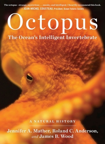 Octopus. The Ocean's Intelligent Invertebrate