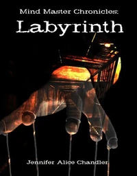 Mind Master Chronicles: Labyrinth