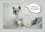 CALVENDO Animaux  Drôles de chatons (Calendrier mural 2020 DIN A3 horizontal). Ils vous donneront le sourire (Calendrier mensuel, 14 Pages )