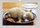 CALVENDO Animaux  Drôles de chatons (Calendrier mural 2020 DIN A3 horizontal). Ils vous donneront le sourire (Calendrier mensuel, 14 Pages )