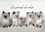 CALVENDO Animaux  La parade des chats (Calendrier mural 2020 DIN A4 horizontal). Mois après mois, un nouveau cercle de petits chats mignons. (Calendrier mensuel, 14 Pages )