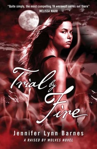 Trial by Fire. Book 2