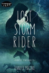 Lost Storm Rider
