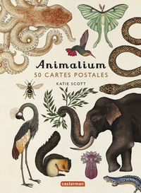 Jenny Broom et Katie Scott - Animalium - 50 cartes postales.