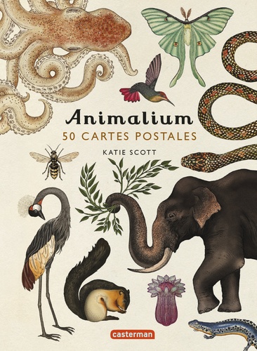 Animalium. 50 cartes postales