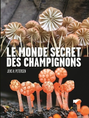 Jens H Petersen - Le monde secret des champignons.