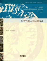 Les fouilles de la cathédrale de Rouen (1985-1993)