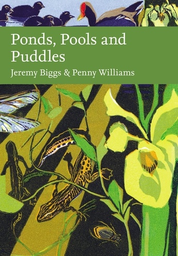 Jeremy Biggs et Penny Williams - Ponds, Pools and Puddles.
