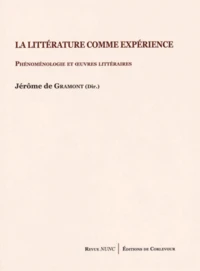La littérature comme expérience