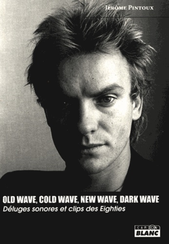 Jérôme Pintoux - Old Wave, Cold Wave, New Wave, Dark Wave - Déluges sonores et clips des Eighties.