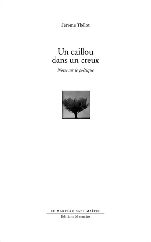 Jérôme Thélot - Un caillou dans un creux - Notes sur le poétique.