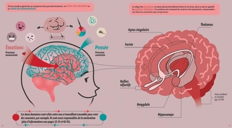 Le rêve d'Alice ou comment le cerveau fonctionne