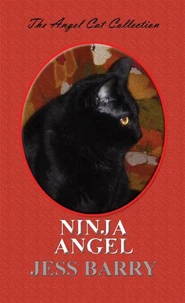 Ninja Angel