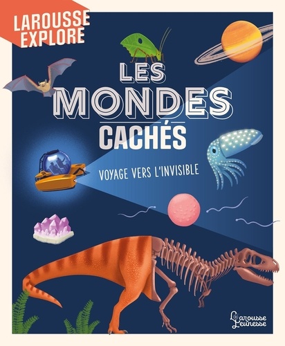 Les mondes cachés. Voyage vers l'invisible