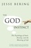 The God Instinct. The Psychology of Souls, Destiny and the Meaning of Life