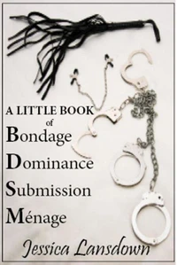 A Liitle Book of Bondage Dominance Submission Menage