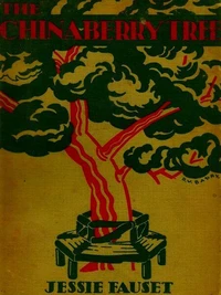 The Chinaberry Tree: A Novel of American Life