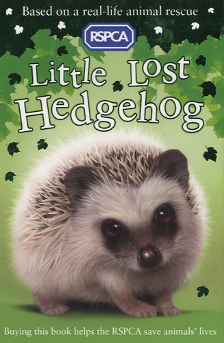 Jill Hucklesby et Jon Davis - Little Lost Hedgehog.