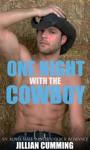 One Night with the Cowboy: An Alpha Male Western Quick Romance