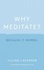 Why Meditate? Because it Works. Because it Works