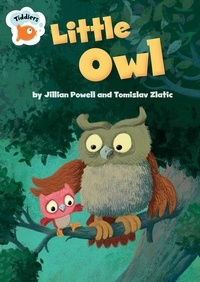 Jillian Powell - Little Owl.
