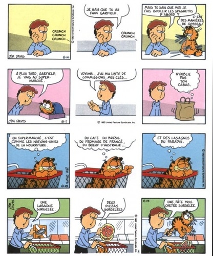 Garfield Tome 10 Tiens bon la rampe !
