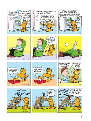 Garfield Tome 15 Fait boule de neige