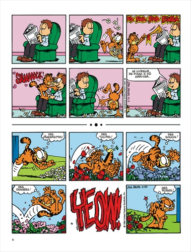 Garfield Tome 29 Garfield en roue libre