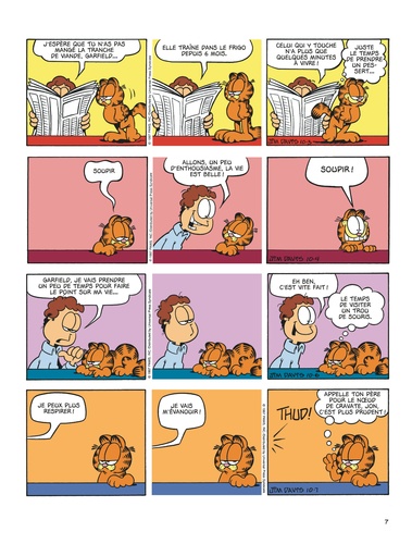 Garfield Tome 31 Ma soupière bien-aimée