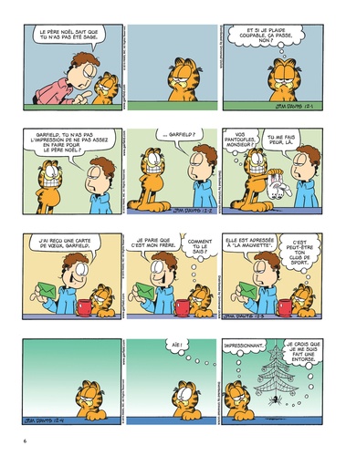Garfield Tome 61 Garfield perd la boule