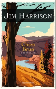 Chien Brun