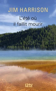 L'Eté où il faillit mourir