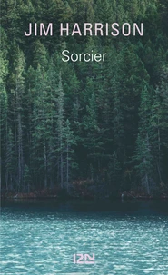 Sorcier