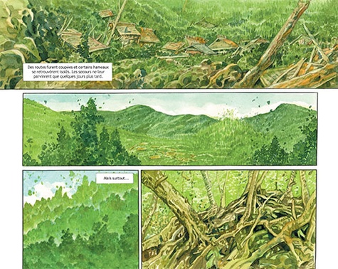 La forêt millénaire