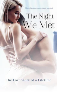 The Night We Met